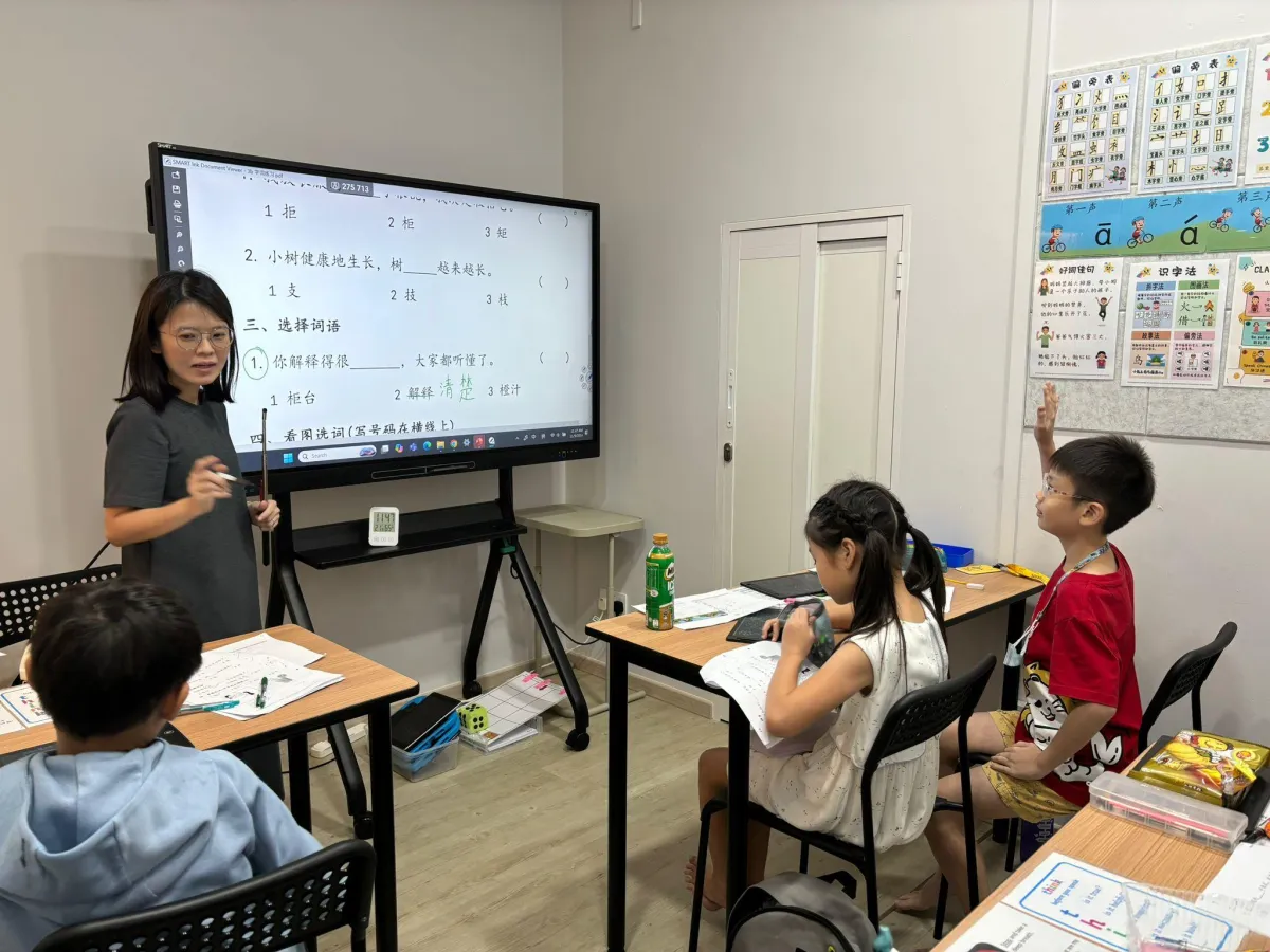  chinese tuition in singapore 